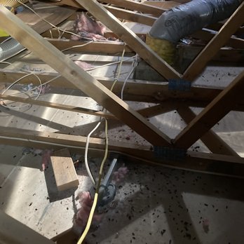 Attic Cleaning Services - Rat droppings after insulation removal - Insulation Installation Near Me Attic Cleaning Services - Rat droppings after insulation removal - Insulation Installation Near Me