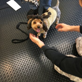 Super-Dog Grooming - Pet Groomers Near Me - Keyport, New Jersey