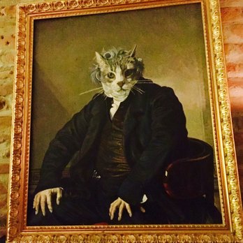 Fat Cat - The Fat Cat - Cocktail Bars Near Me - Toulouse, 31