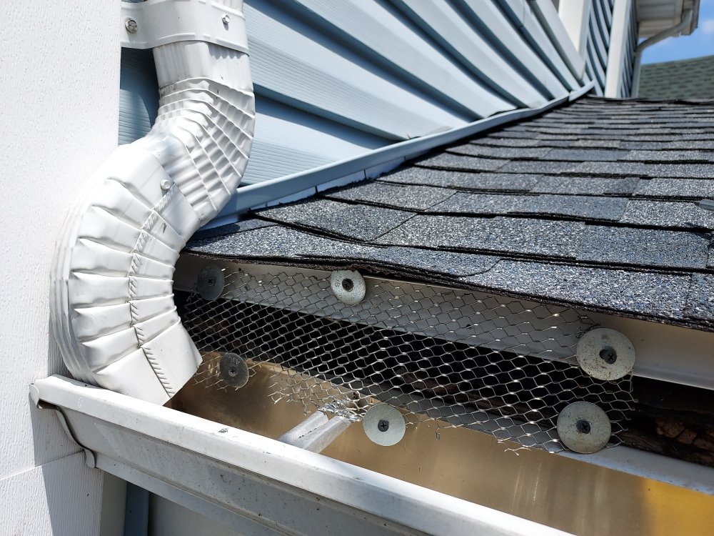 NARD THE EXTERMINATOR Updated July 2024 20 Photos Brooklyn, New