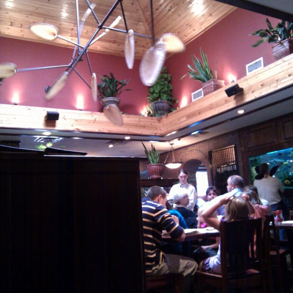 Cheddar's Scratch Kitchen - Awesome Fan - Comfort Food Near Me - Florence, Kentucky