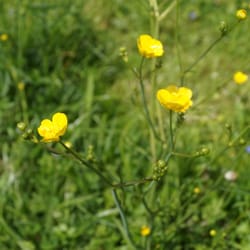 Region Hochkönig