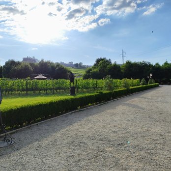 Tenuta Torciano - Wineries Near Me - San Gimignano, SI