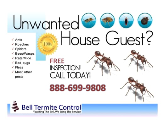 BELL TERMITE AND PEST CONTROL - Updated May 2026 - 53 Photos & 108 ...