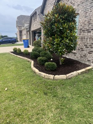 Cut Create Landscape