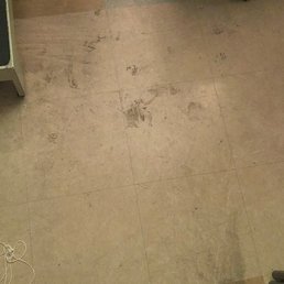 ABHORRENT, this is months of filth piling up. It was much worse in person. ABHORRENT, this is months of filth piling up. It was much worse in person.