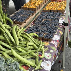 JSM Organics - Vegetables & Fruits