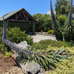Public Toilet - Public Toilet, Point Arena CA