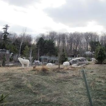 Toronto Zoo - Zoos Near Me - Toronto, Ontario Toronto Zoo - Zoos Near Me - Toronto, Ontario