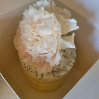 Hinar - Lemon poppyseed cake - good but not sure if I'd pay $12 again for it - Cafes Near Me - San Diego, California Hinar - Lemon poppyseed cake - good but not sure if I'd pay $12 again for it - Cafes Near Me - San Diego, California