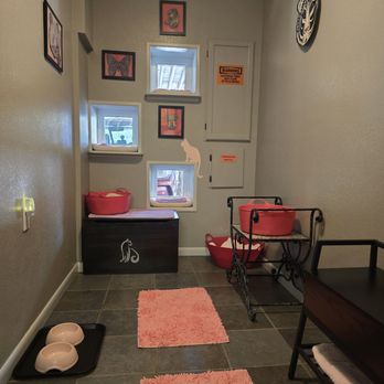 Evergreen Cat Lodge - Pet Boarding Near Me - Evergreen, Colorado Evergreen Cat Lodge - Pet Boarding Near Me - Evergreen, Colorado