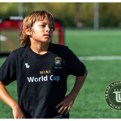 TLU ACADEMY  Private Soccer Lessons 1 v 1 Online Consoltation Soccer Camp Futsal