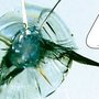 Superglass Windshield Repair