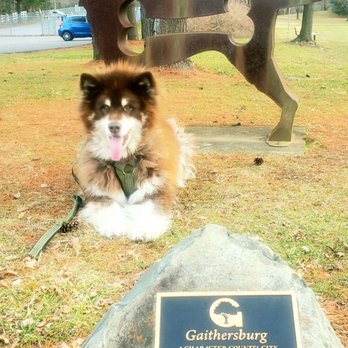 Gaithersburg Dog Park - Dog Parks Near Me - Gaithersburg, Maryland