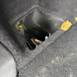 Reagle Dodge - Missing storage bin