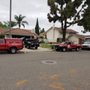 Photo of Active Pest Control
