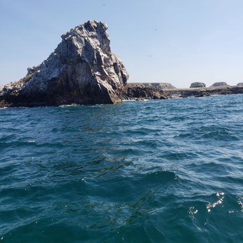 Riviera Mita Tours - Tours Near Me - Badowo-Dańki, MZ