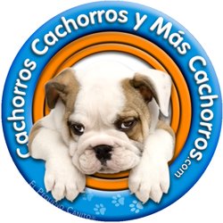 Cachorros Cachorros y Mas Cachorros