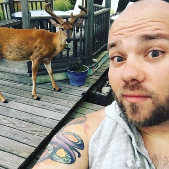 Dune Point Fire Island Guesthouse - Don't touch or feed the deer! - Hotels Near Me - Cherry Grove, New York