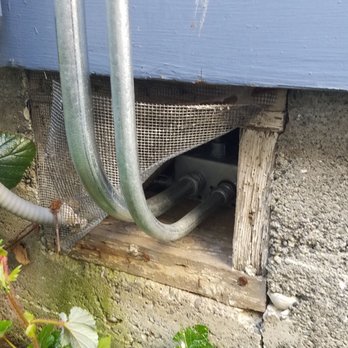 Absolute Pest Control - Our inspections help to point out key points of entry. - Pest Control Near Me - Oak Harbor, Washington Absolute Pest Control - Our inspections help to point out key points of entry. - Pest Control Near Me - Oak Harbor, Washington