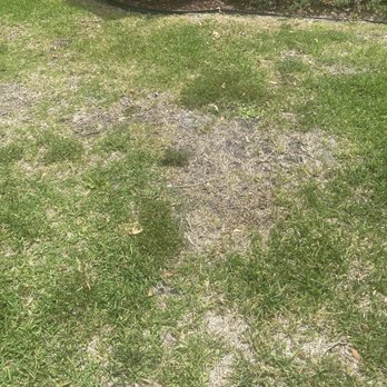 Turner Pest Control - Pest Control Near Me - Ocala, Florida Turner Pest Control - Pest Control Near Me - Ocala, Florida