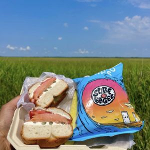 TIM HORTONS - Updated January 2026 - 737 N Dupont Hwy, Dover, Delaware