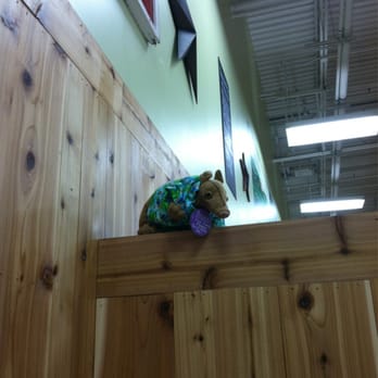 Trader Joe's - We found the armadillo! - Grocery Near Me - Austin, Texas Trader Joe's - We found the armadillo! - Grocery Near Me - Austin, Texas