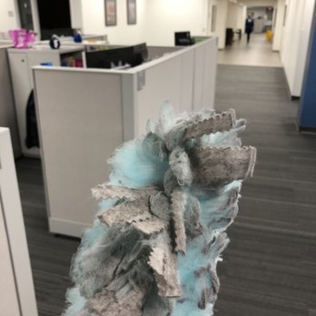 Priority Clean - Dusting is the #1 neglected task in the industry! - Carpet Cleaning Near Me - Great Falls, Montana Priority Clean - Dusting is the #1 neglected task in the industry! - Carpet Cleaning Near Me - Great Falls, Montana