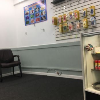 Norwood Park - Lots of Air fresheners to choose from - Car Wash Near Me - Chicago, Illinois