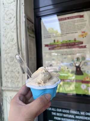 L'Albero Dei Gelati by null