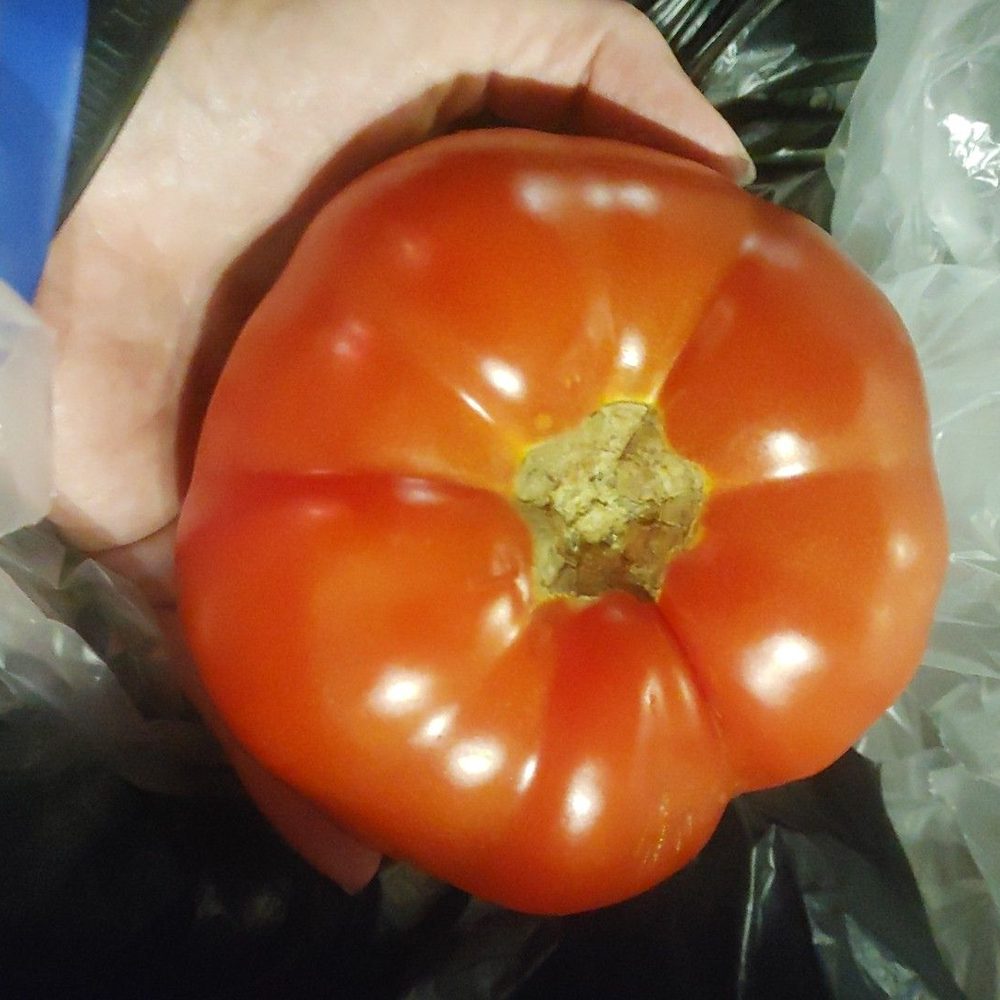 Snow's Country Produce - Tomato - Fruits & Veggies Near Me - Beverly Hills, Florida Snow's Country Produce - Tomato - Fruits & Veggies Near Me - Beverly Hills, Florida