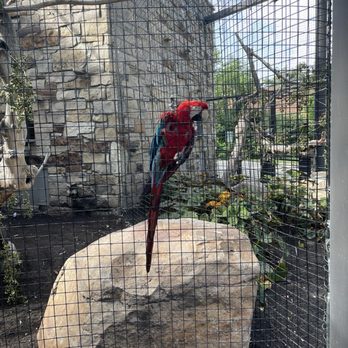 Tracy Aviary - Zoos Near Me - Salt Lake City, Utah Tracy Aviary - Zoos Near Me - Salt Lake City, Utah