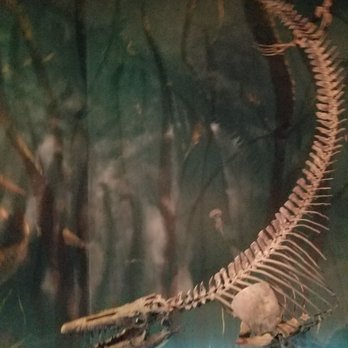 Royal Tyrrell Museum - Museums Near Me - Drumheller, Alberta Royal Tyrrell Museum - Museums Near Me - Drumheller, Alberta