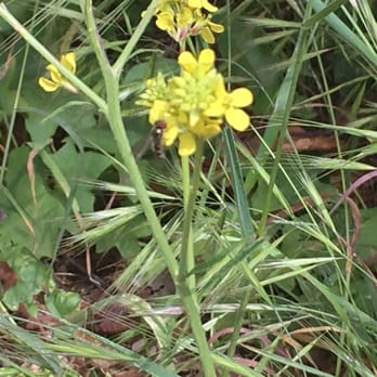 Ben Overturff Trail - Hiking Near Me - Monrovia, California