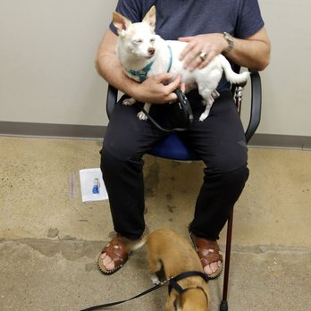 Firehouse Animal Health Center Westlake 61 Photos 109 Reviews Veterinarians 3801 N Capital Of Texas Hwy Austin Tx Phone Number