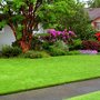 Photo of Joey's Lawn Mowing