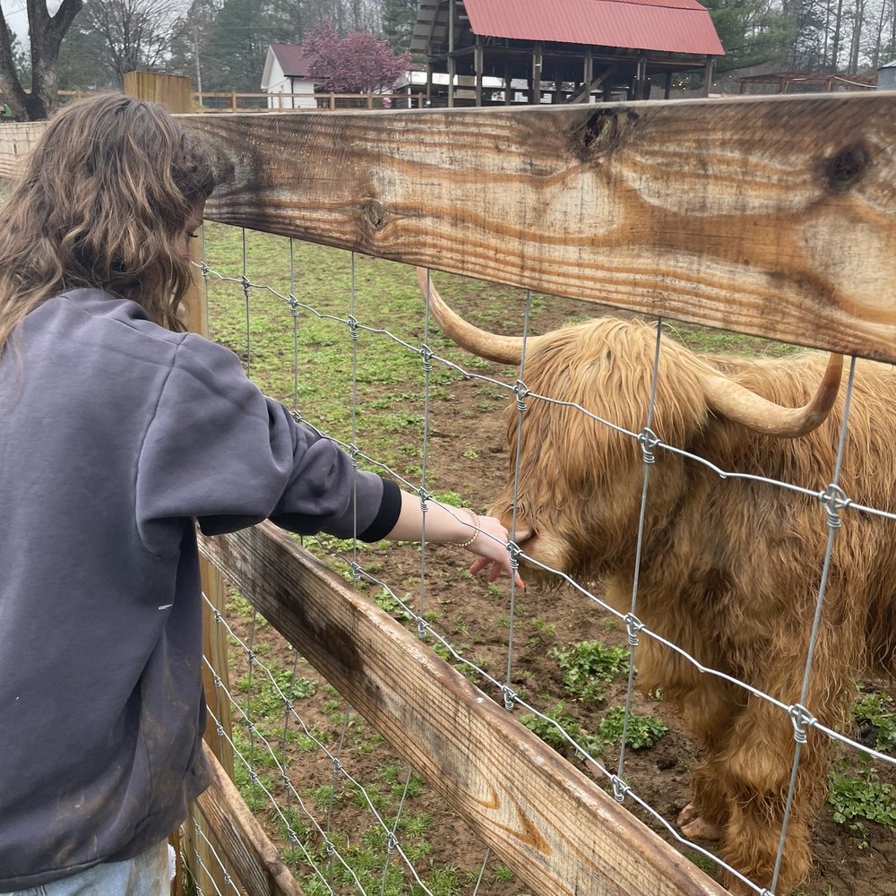 Spring Haven Farm - Farms Near Me - Chapel Hill, North Carolina Spring Haven Farm - Farms Near Me - Chapel Hill, North Carolina