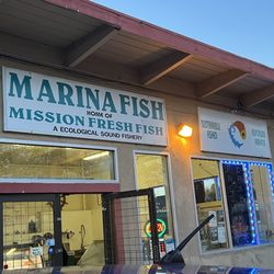 Marina Fish