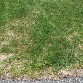 Alliance Landscaping - Landscaping Near Me - Auburn, New Hampshire