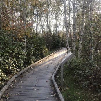 Narbeck Wetland Sanctuary - I love these types of paths - Parks Near Me - Everett, Washington Narbeck Wetland Sanctuary - I love these types of paths - Parks Near Me - Everett, Washington