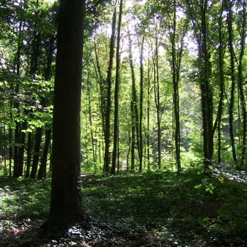 Faberpark - Parks Near Me - Nuremberg, BY