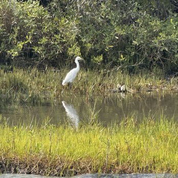 Happy Days Tours - Boat Tours Near Me - Beaufort, North Carolina