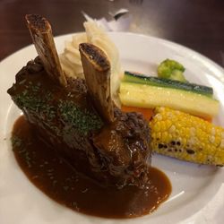 Bison