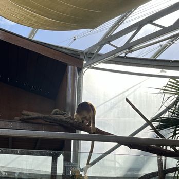 Sydney Wildlife World - Zoos Near Me - Darling Harbour, NSW