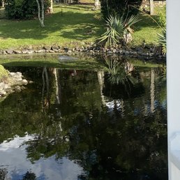 Trash can in disgusting pond
