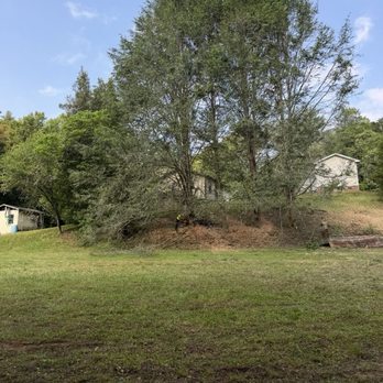 Supulski's Tree Service - This is some of the trees they took down and did an excellent job! - Landscaping Near Me - Wilkesboro, North Carolina Supulski's Tree Service - This is some of the trees they took down and did an excellent job! - Landscaping Near Me - Wilkesboro, North Carolina