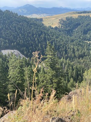 College M Trailhead and Picnic Area by null