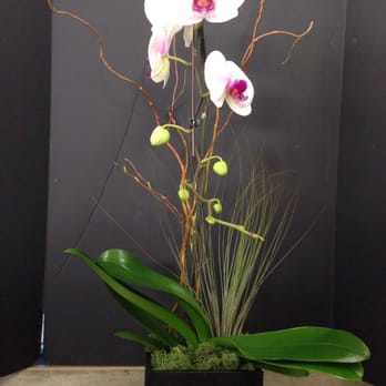 Pac 8 Orchids - Orchid we chose and they assembled - Florists Near Me - Los Angeles, California