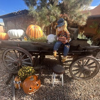 Loba Luna Bed and Breakfast - Front yard - Bed & Breakfast Near Me - Albuquerque, New Mexico