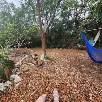 Bongos Botanical Beer Garden - Hammock chair chillin' - Caribbean Near Me - Marathon, Florida Bongos Botanical Beer Garden - Hammock chair chillin' - Caribbean Near Me - Marathon, Florida
